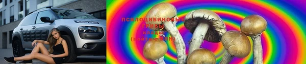 бошки Карпинск