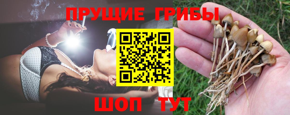 Псилоцибиновые грибы Magic Shrooms Ленинск-Кузнецкий