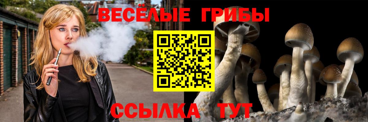 Ленинск-Кузнецкий  Галлюциногенные грибы Psilocybe  Псилоцибиновые грибы GOLDEN TEACHER  Вход с VPN 