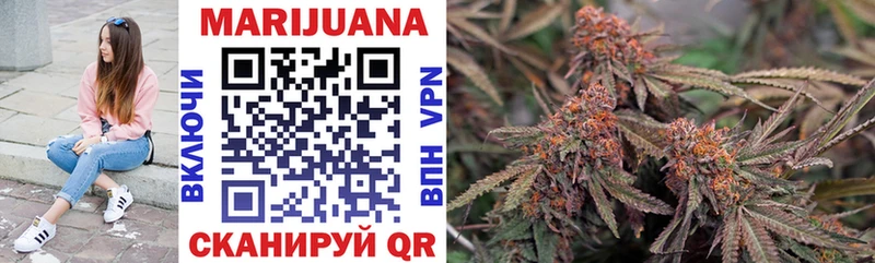 Бошки марихуана SATIVA & INDICA  omg зеркало  Ленинск-Кузнецкий 